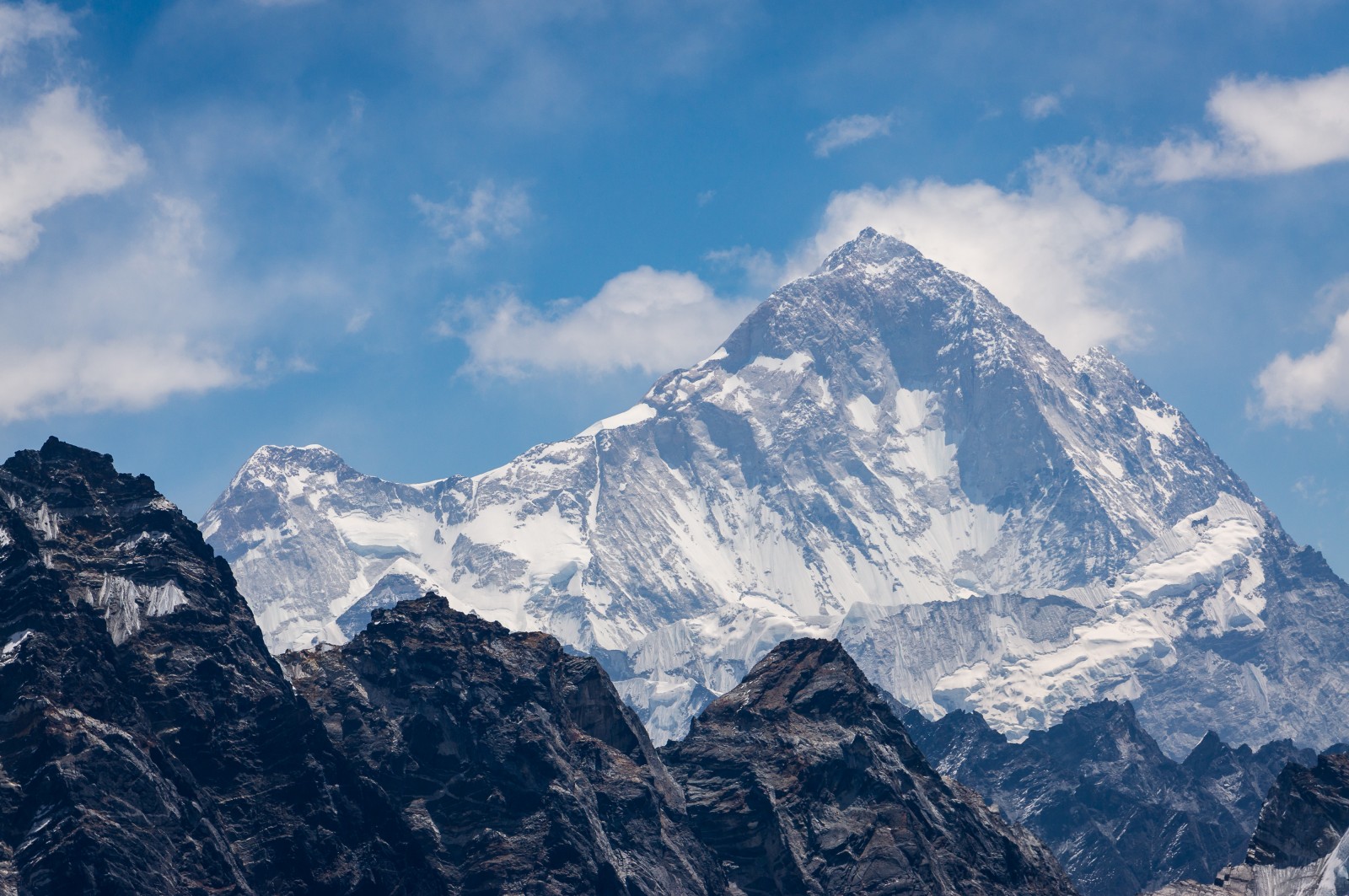Makalu Mountain Field Guide Makalu Mountain Field Guide
