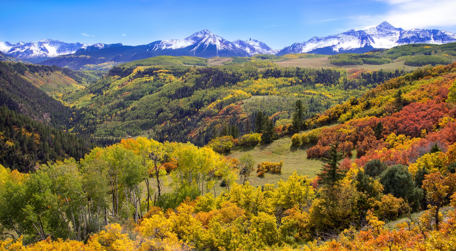 Mount Wilson (colorado) - Mountain Field Guide