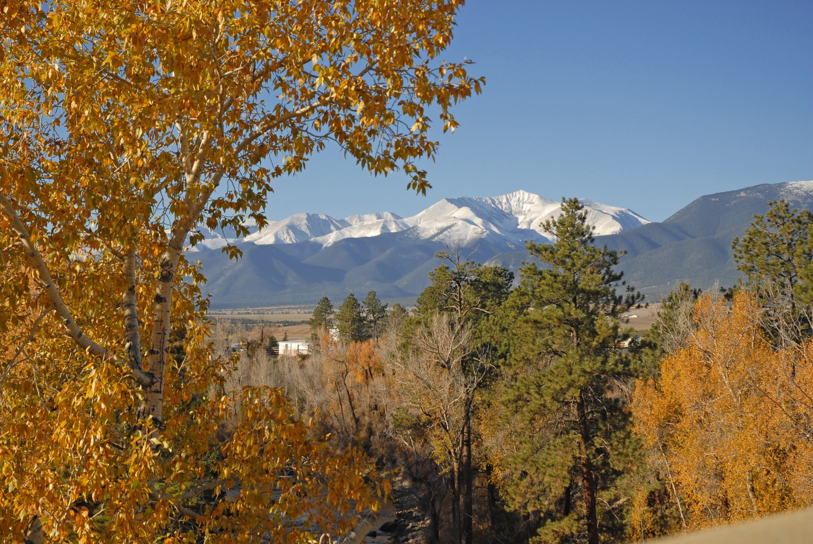 Mount Antero – Mountain Field Guide