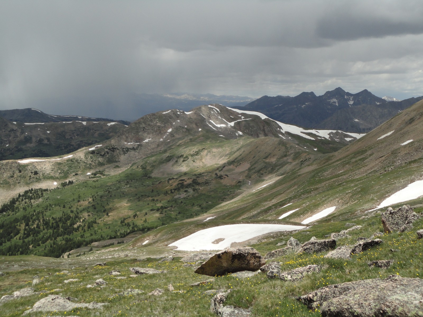 Mount Yale - Mountain Field Guide