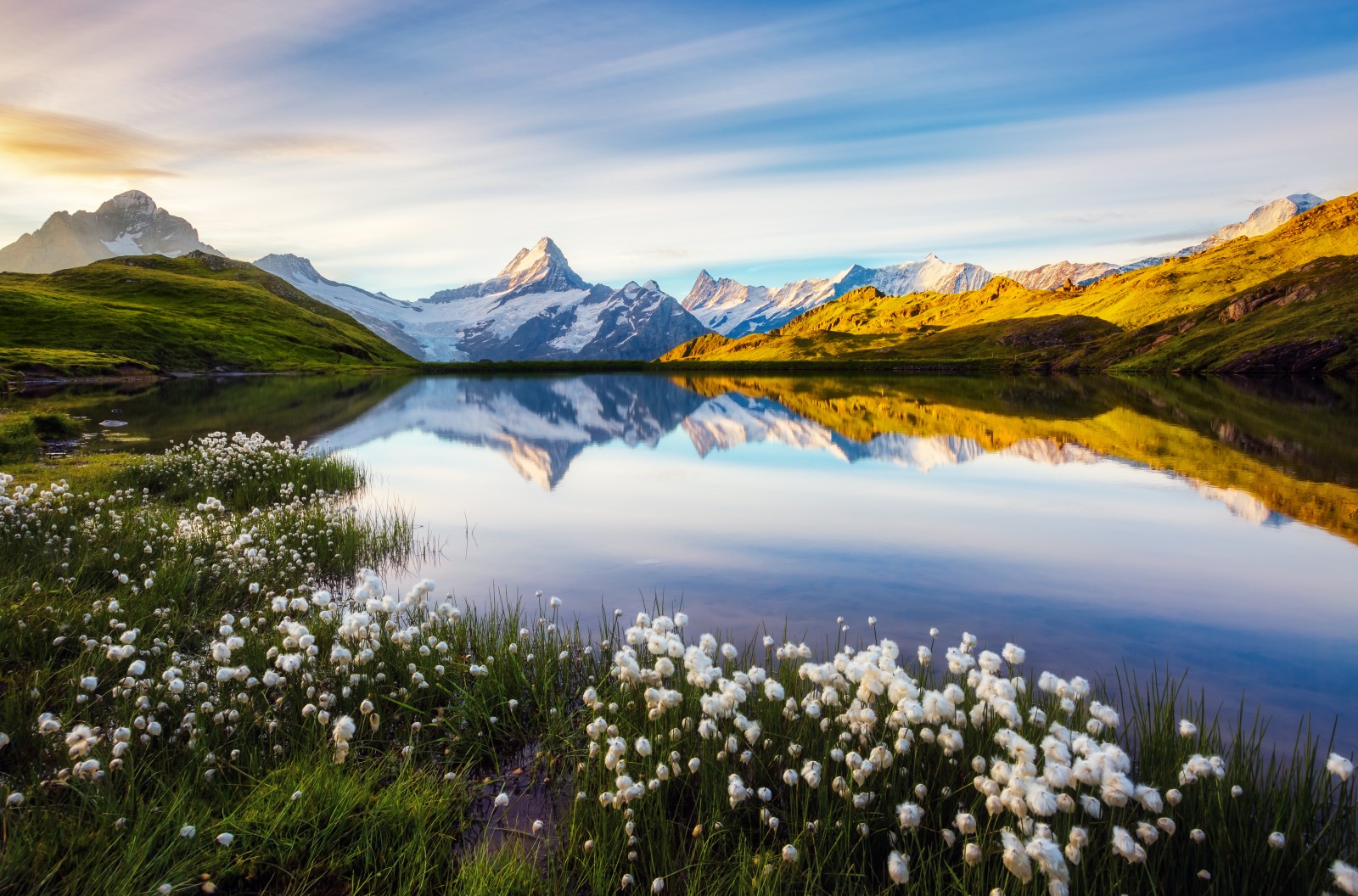 Schreckhorn – Mountain Field Guide