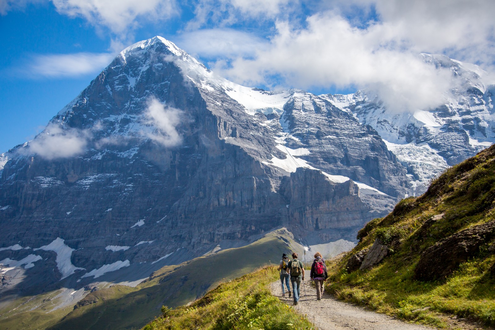 Eiger Mountain Field Guide