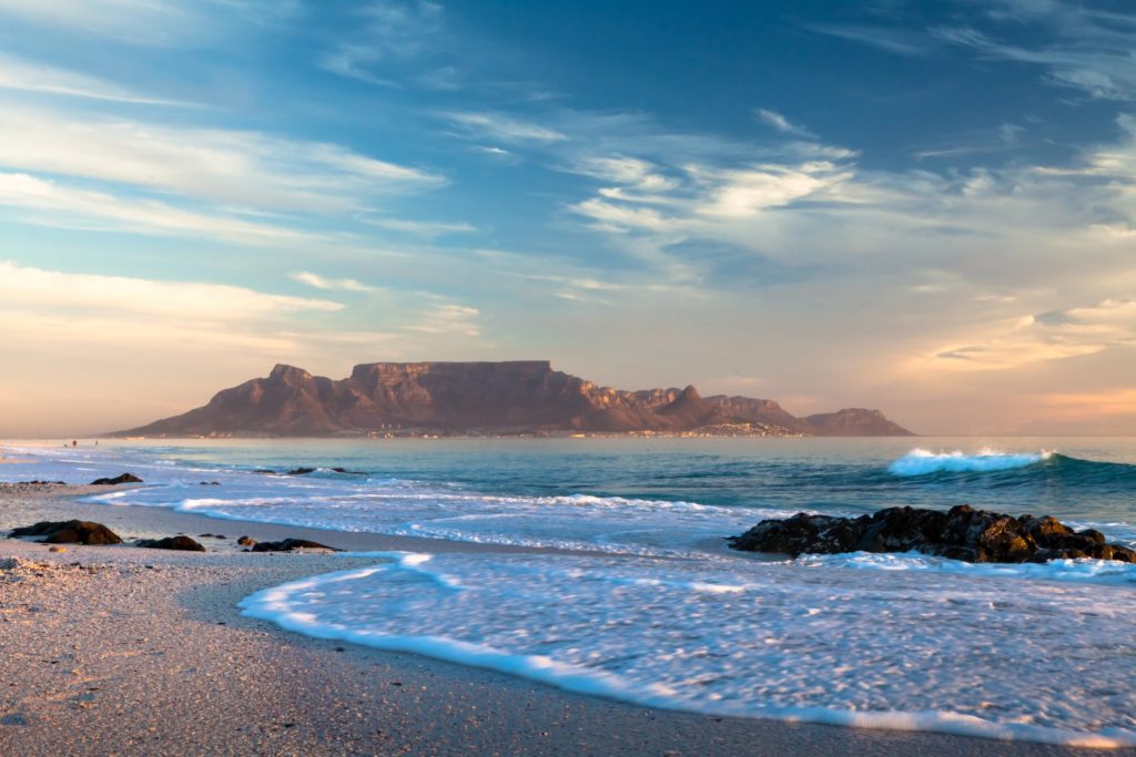 Table Mountain - Mountain Field Guide