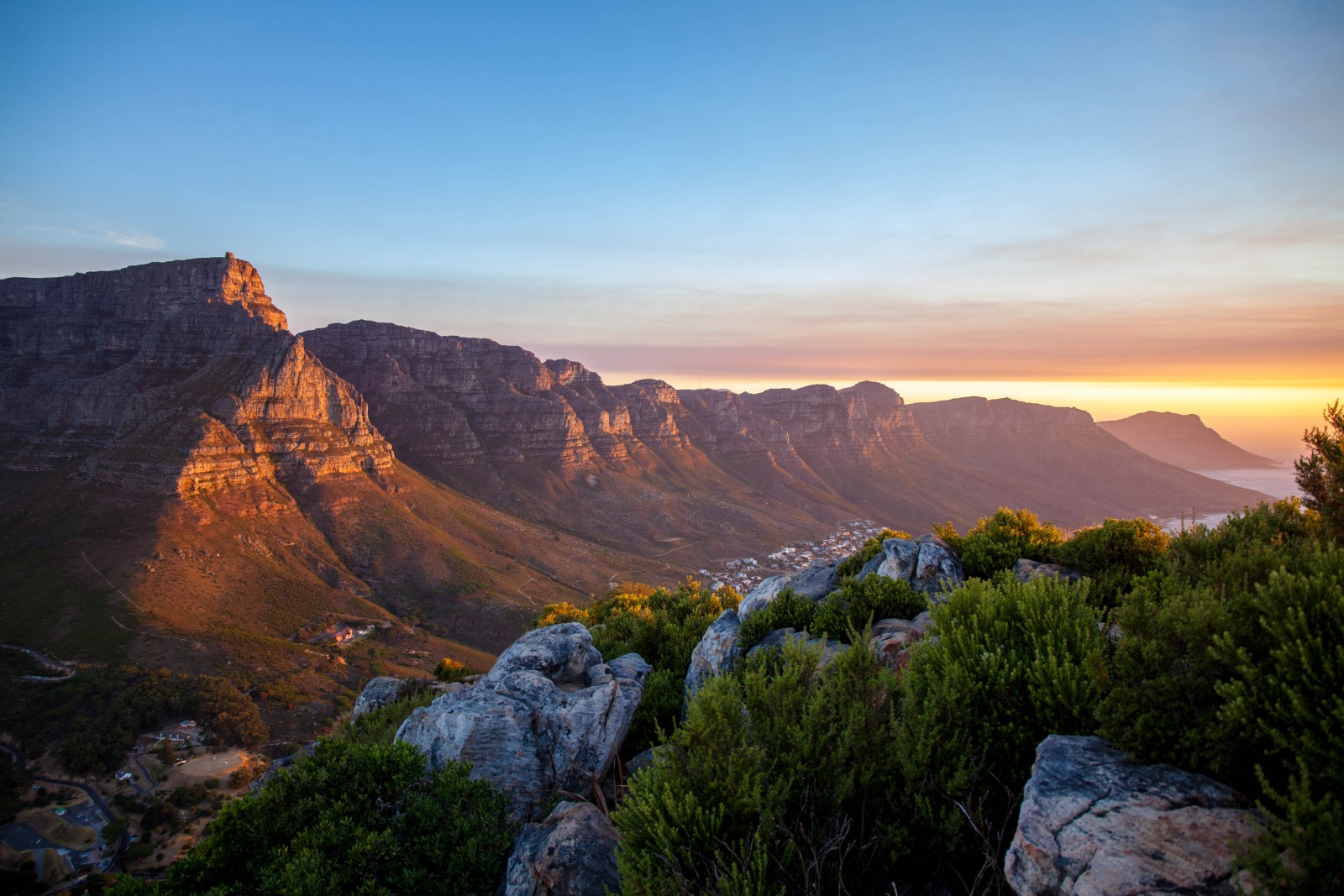 Table Mountain - Mountain Field Guide