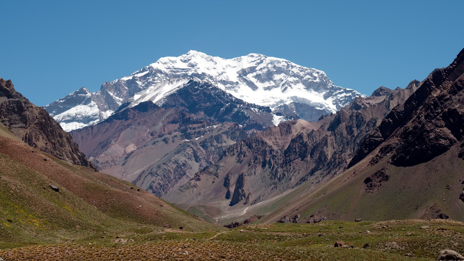 Aconcagua - Mountain Field Guide