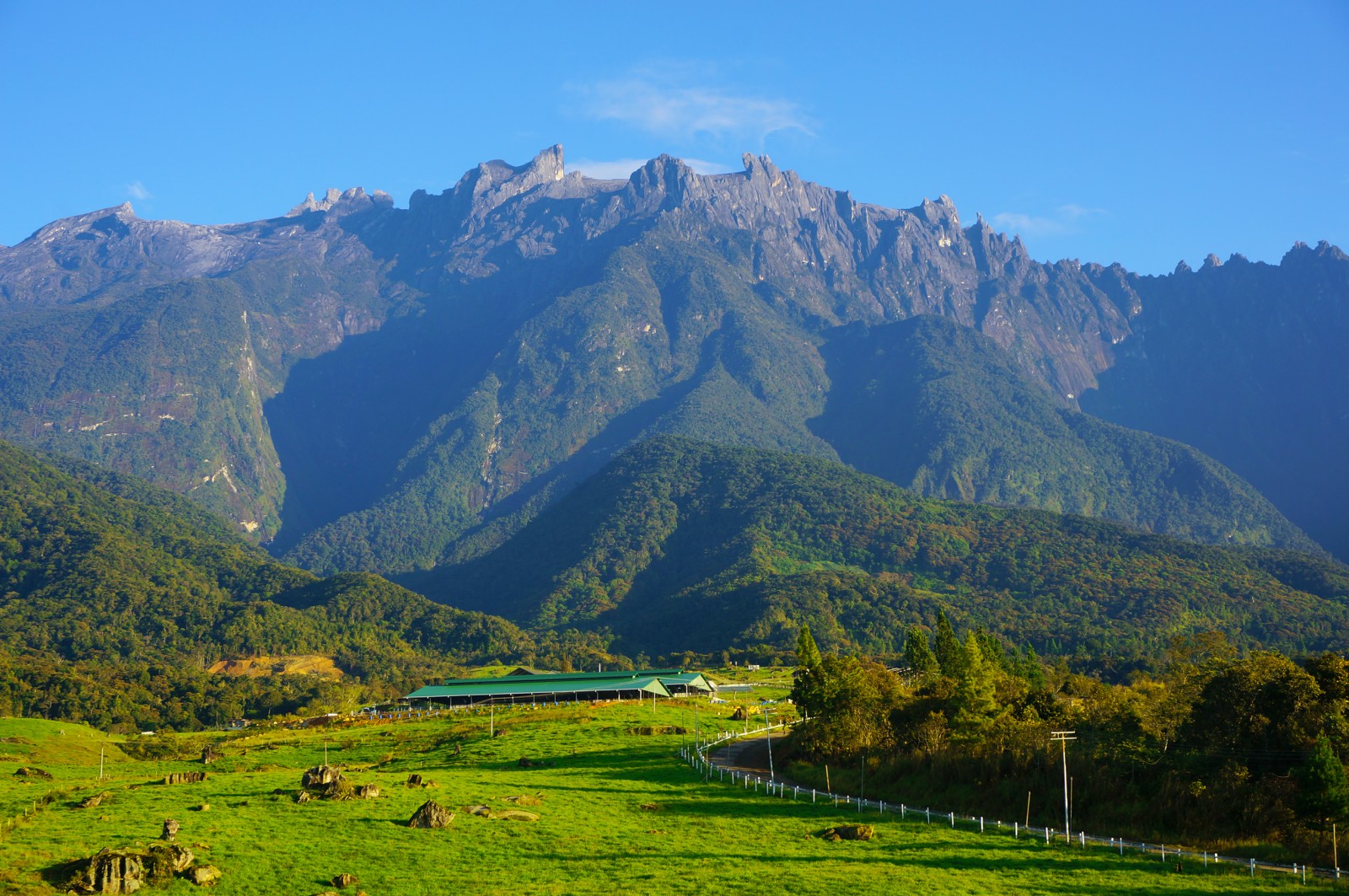 Mount Kinabalu - Mountain Field Guide