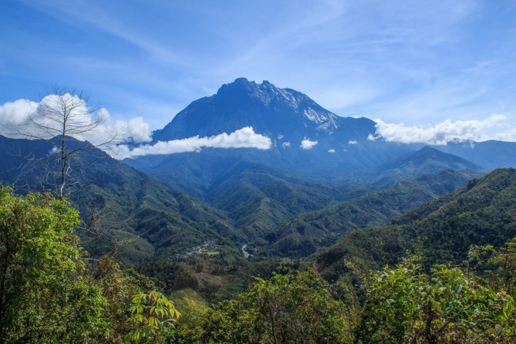 Mount Kinabalu - Mountain Field Guide