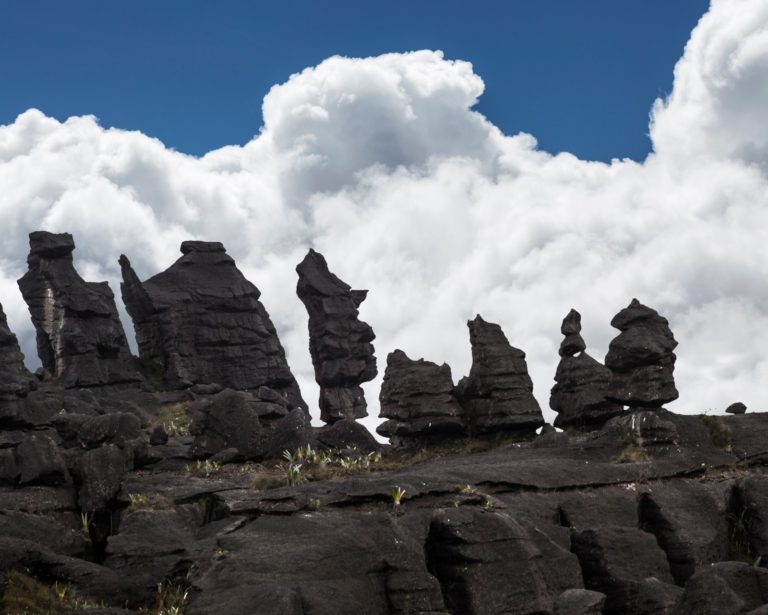 Mount Roraima - Mountain Field Guide