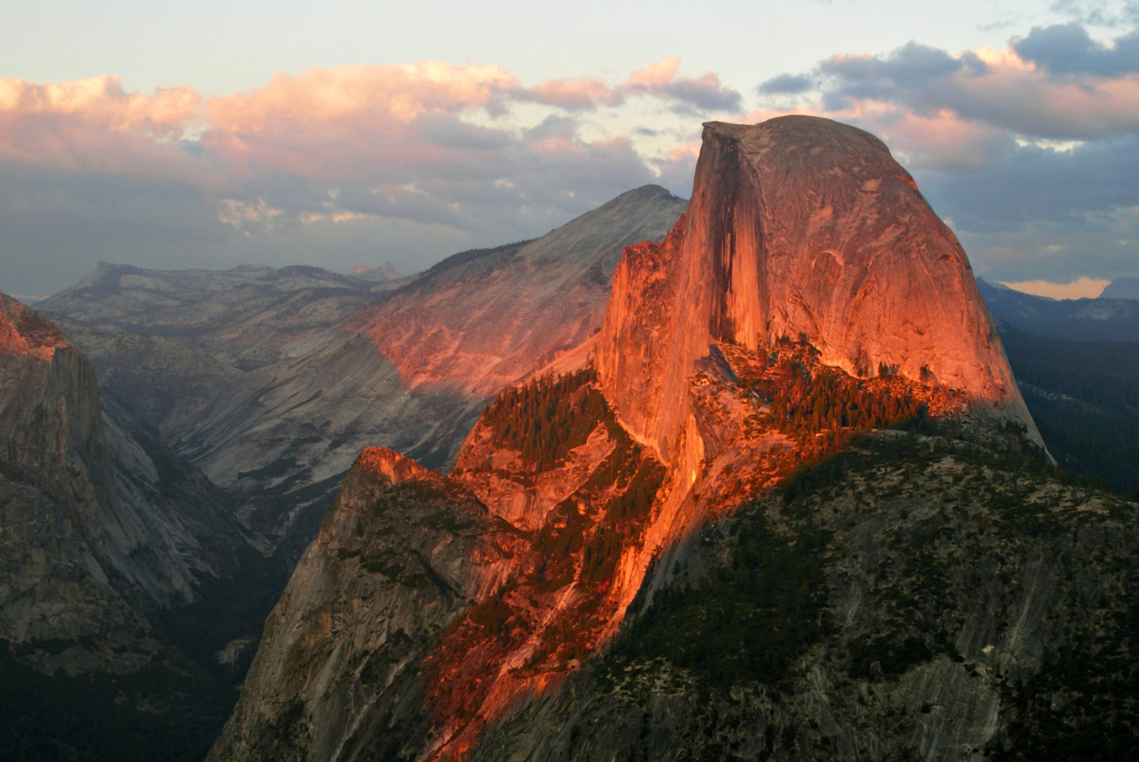 Half Dome - Mountain Field Guide