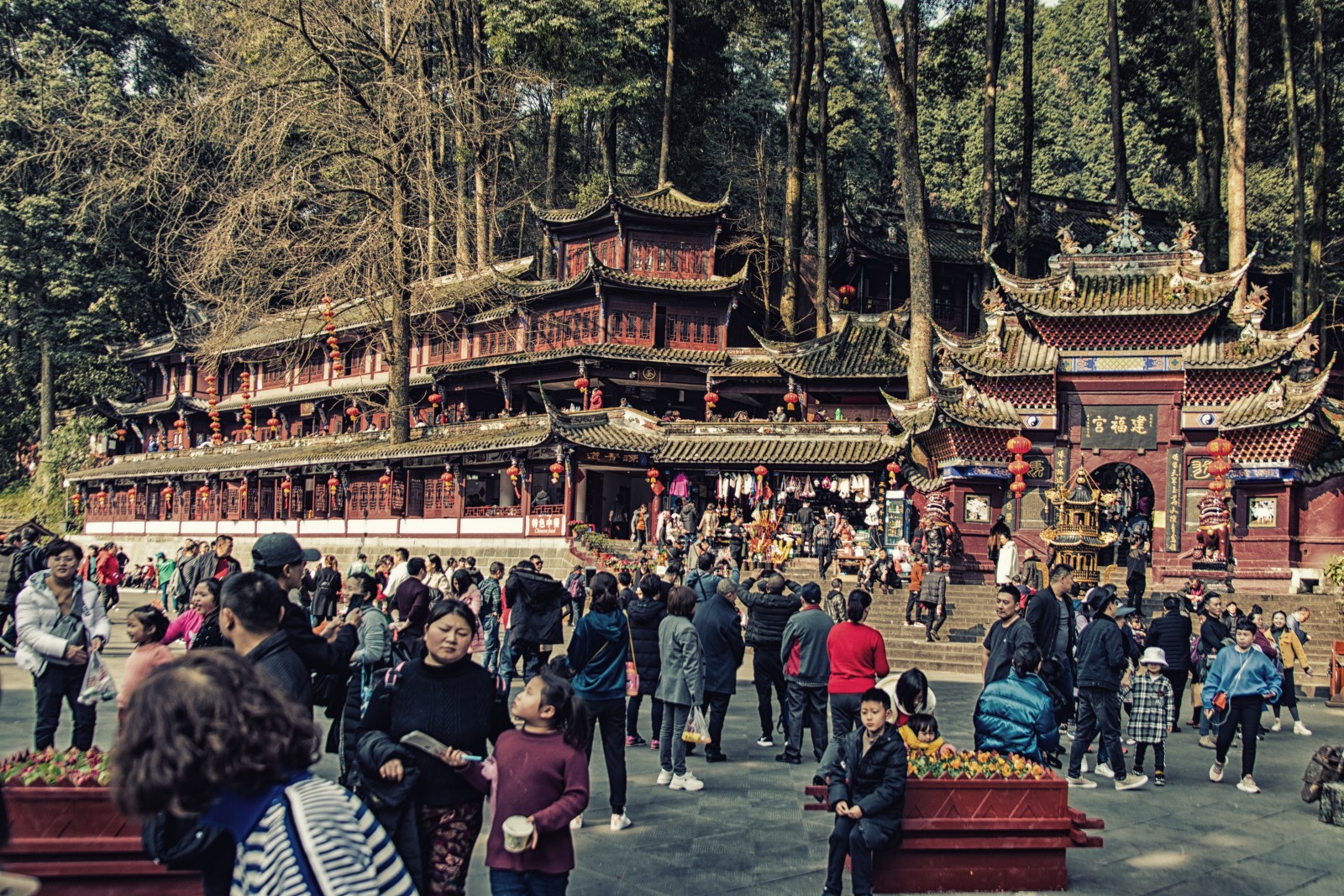 Mount Qingcheng Mountain Field Guide