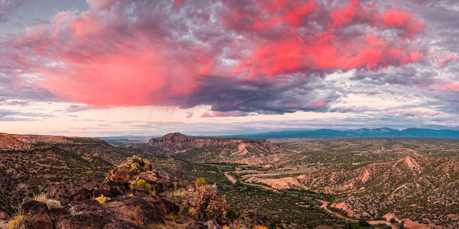 The New Mexico Rocky Mountains - Mountain Field Guide