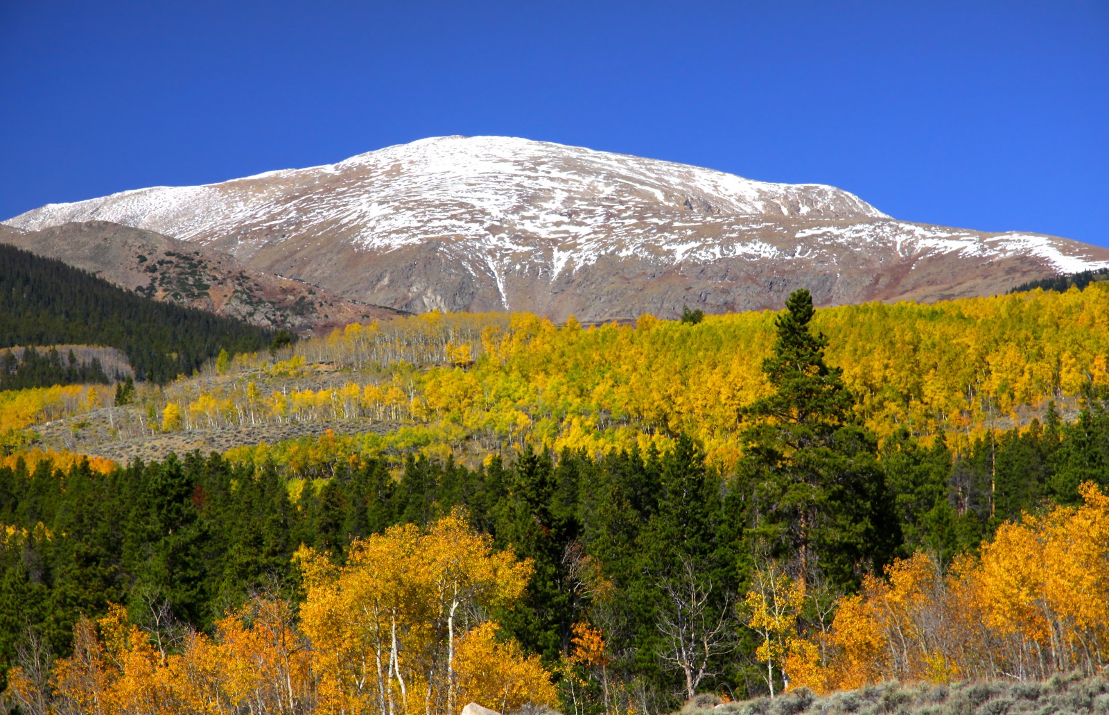 Mount Elbert - Mountain Field Guide