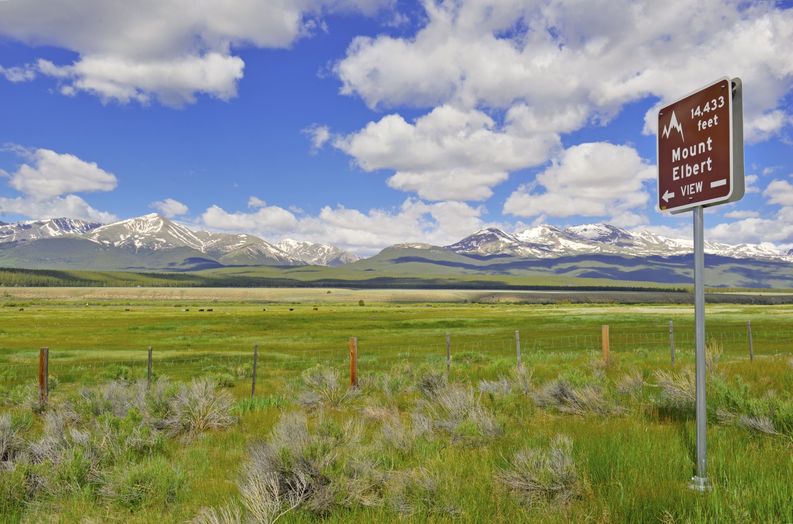 Mount Elbert - Mountain Field Guide