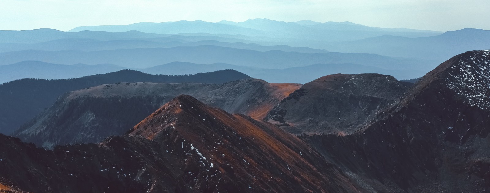 The New Mexico Rocky Mountains - Mountain Field Guide