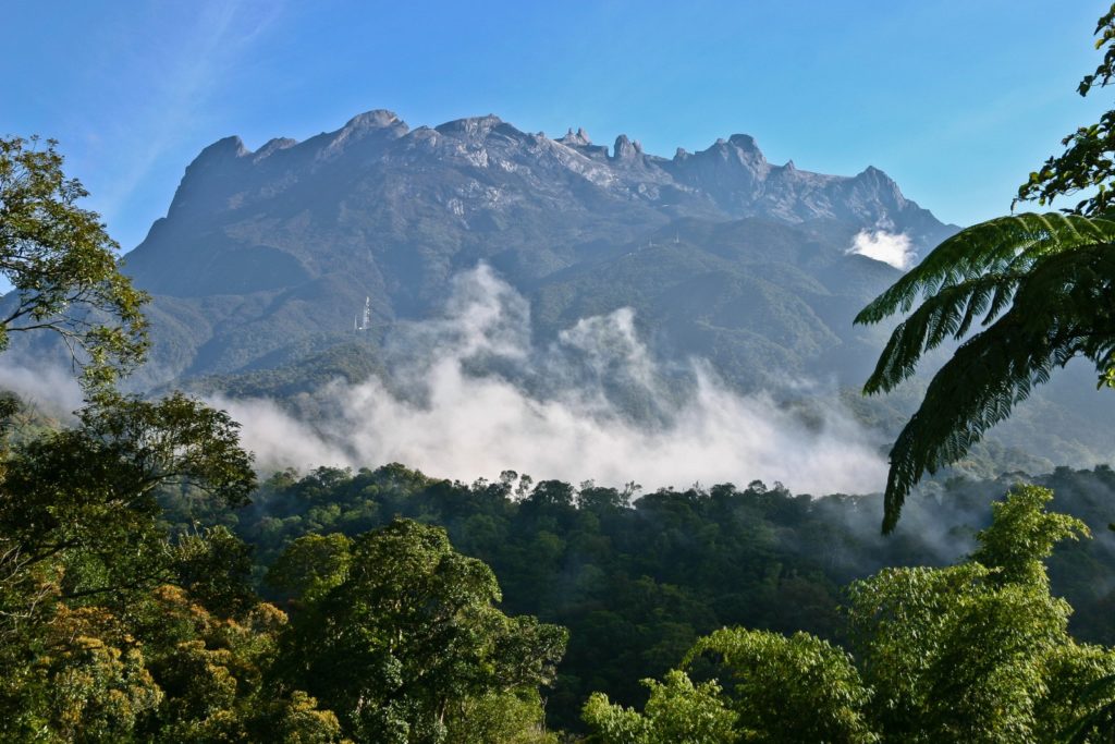 Mount Kinabalu - Mountain Field Guide