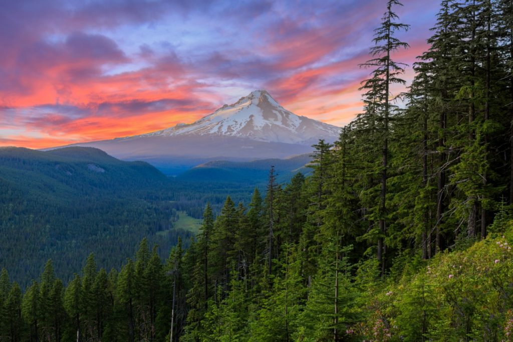 Mount Hood - Mountain Field Guide