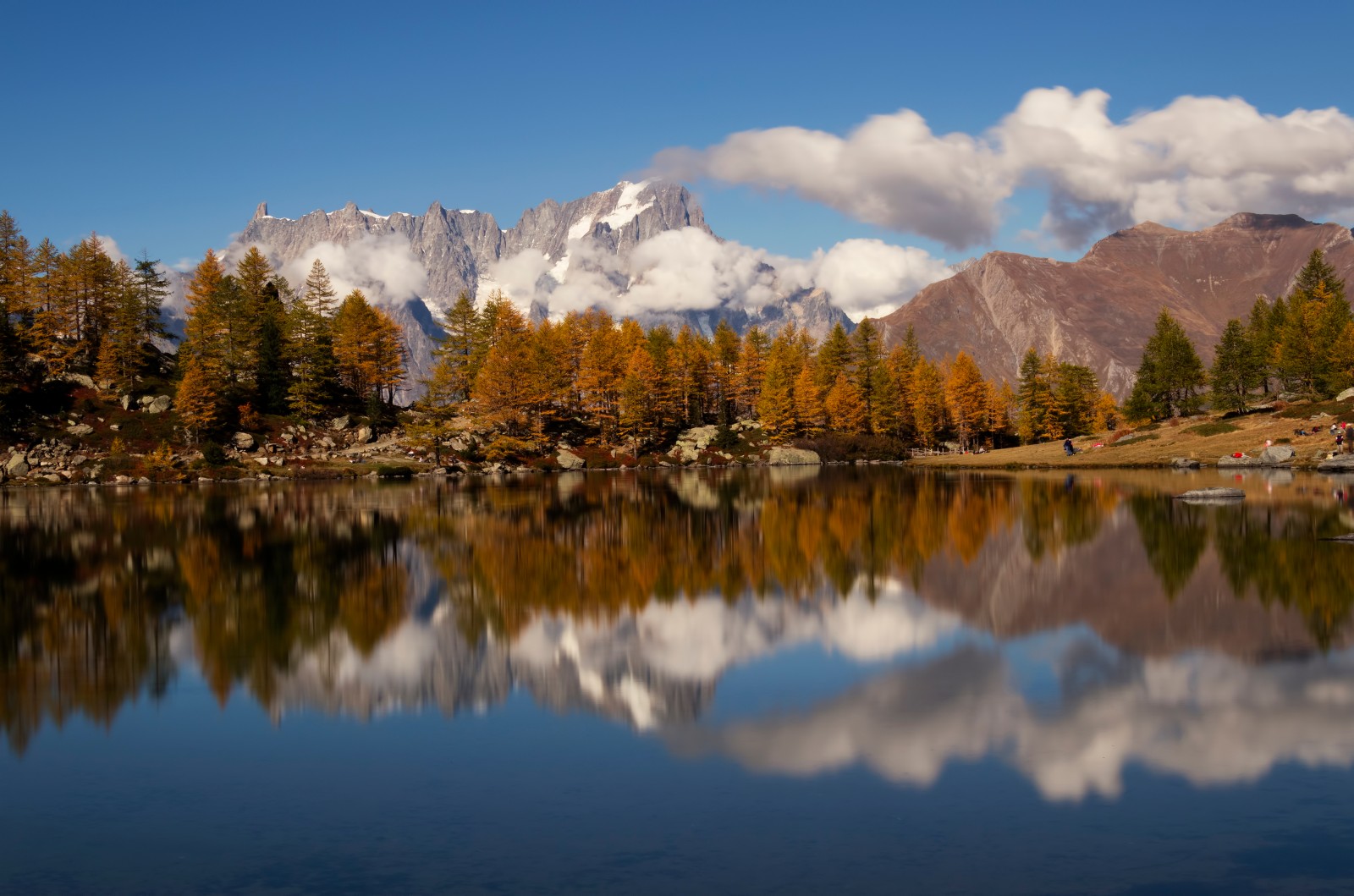 Grandes Jorasses - Mountain Field Guide