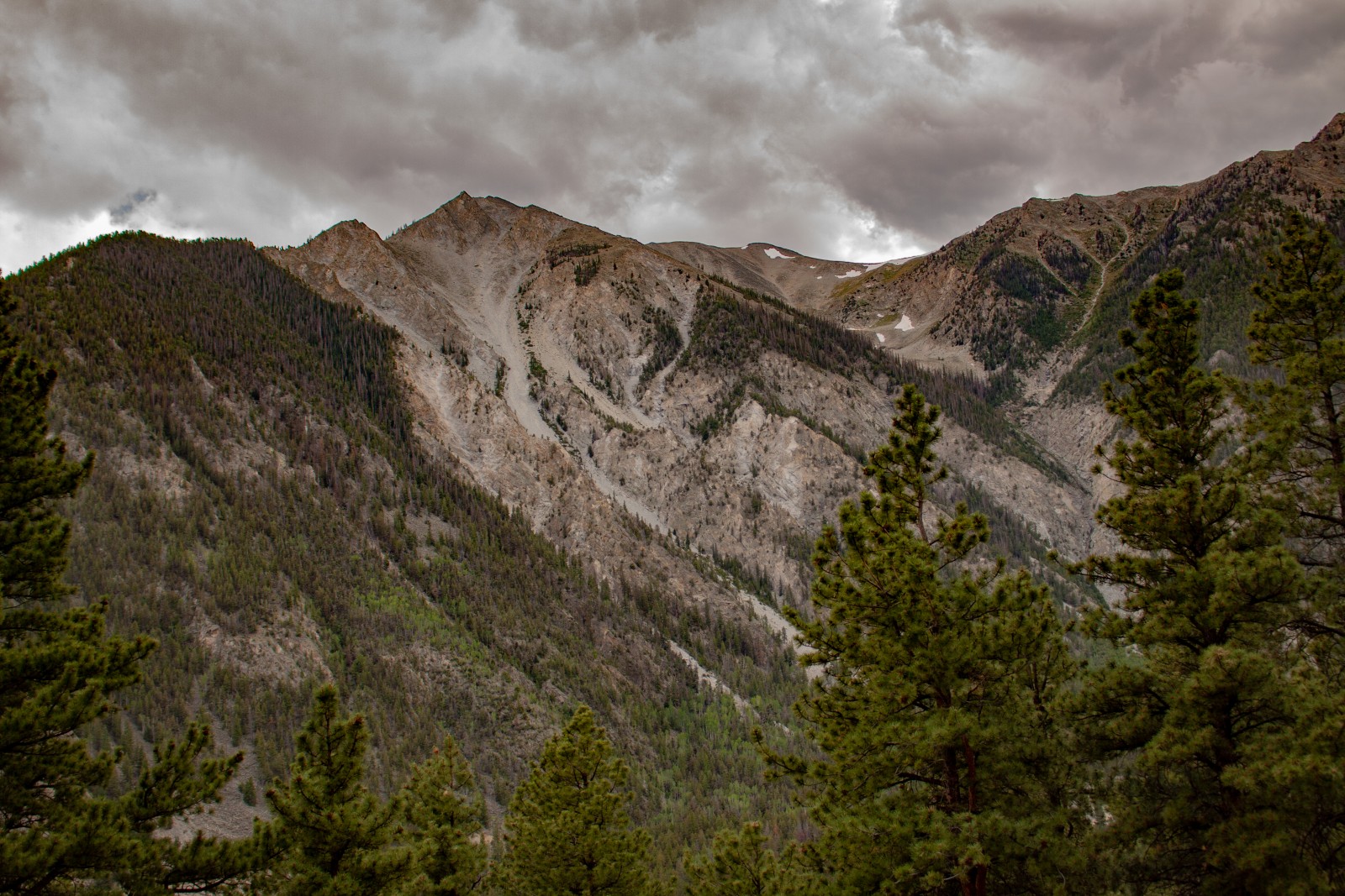 Mount Antero - Mountain Field Guide