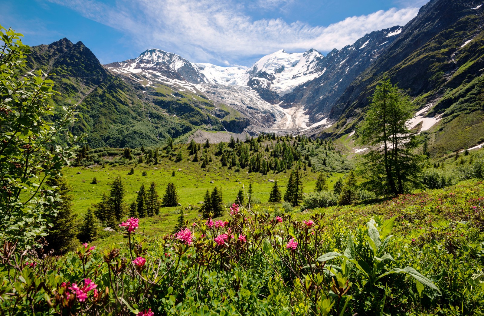 Mont Blanc - Mountain Field Guide