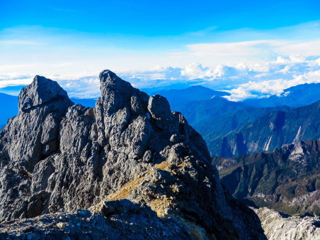 Puncak Jaya - Mountain Field Guide