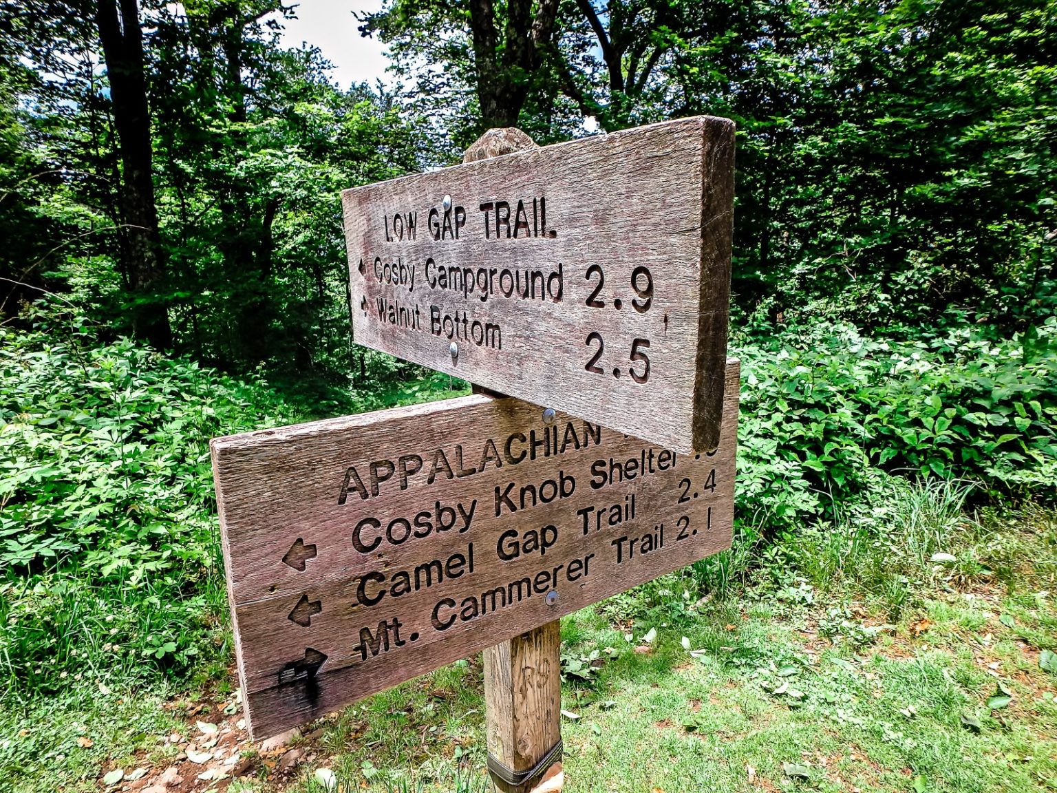 Mount Guyot (Great Smoky Mountains) - Mountain Field Guide