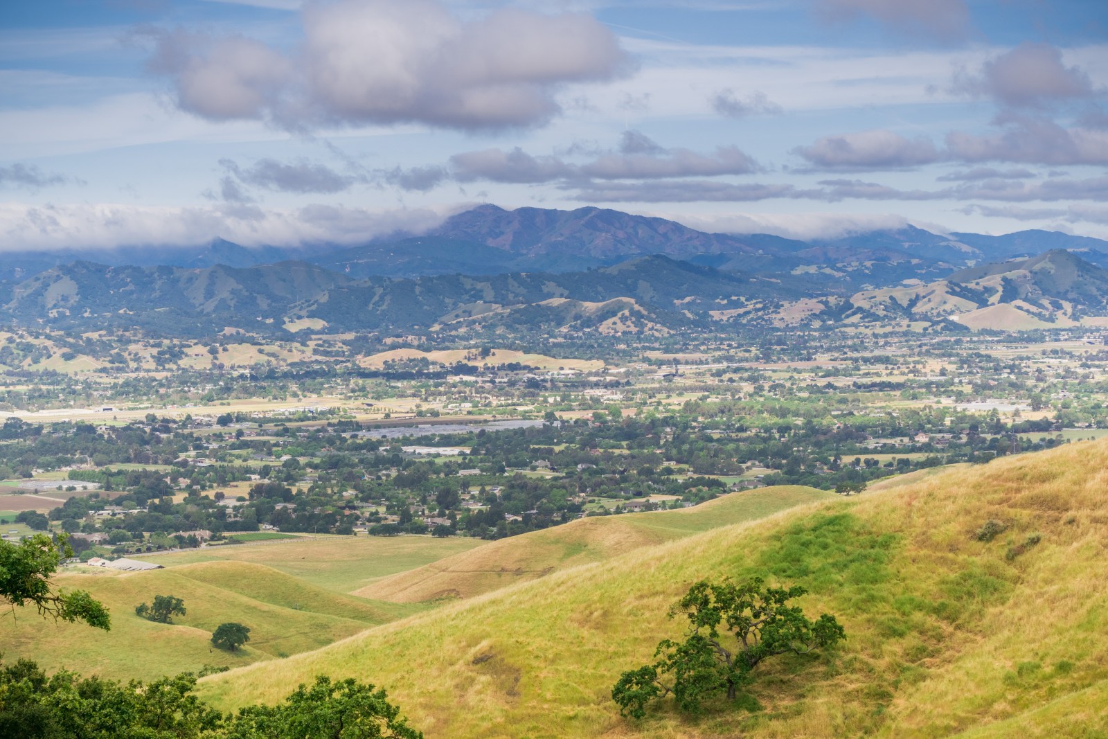 Loma Prieta – Mountain Field Guide