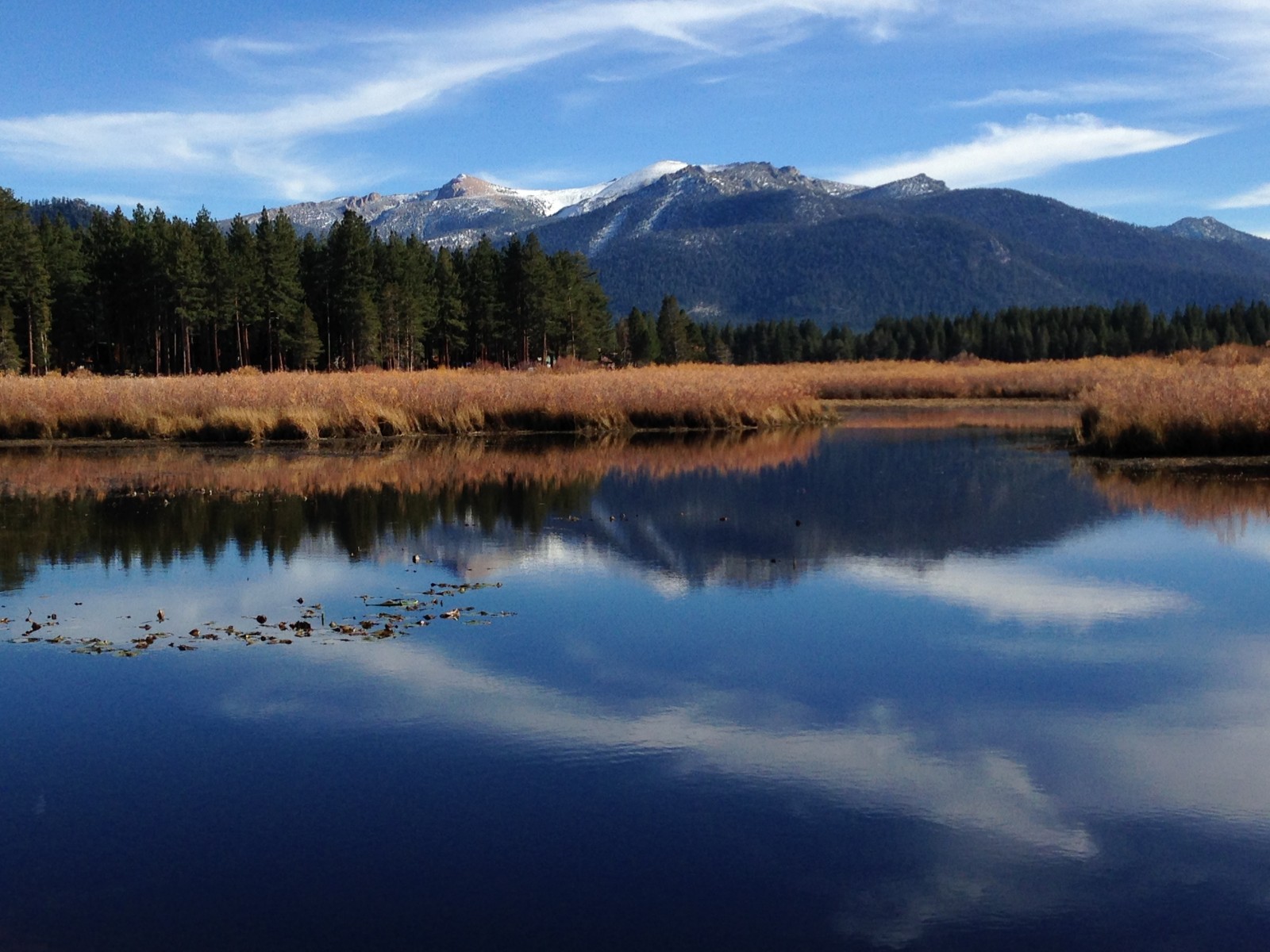 Freel Peak – Mountain Field Guide