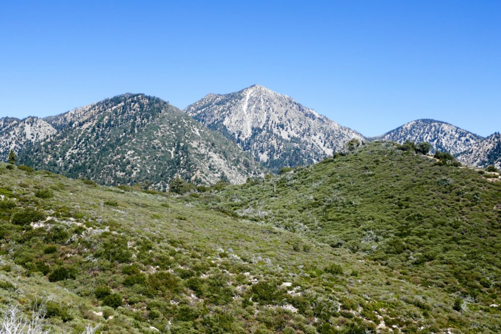 Timber Mountain (San Gabriel Mountains, California) - Mountain Field Guide