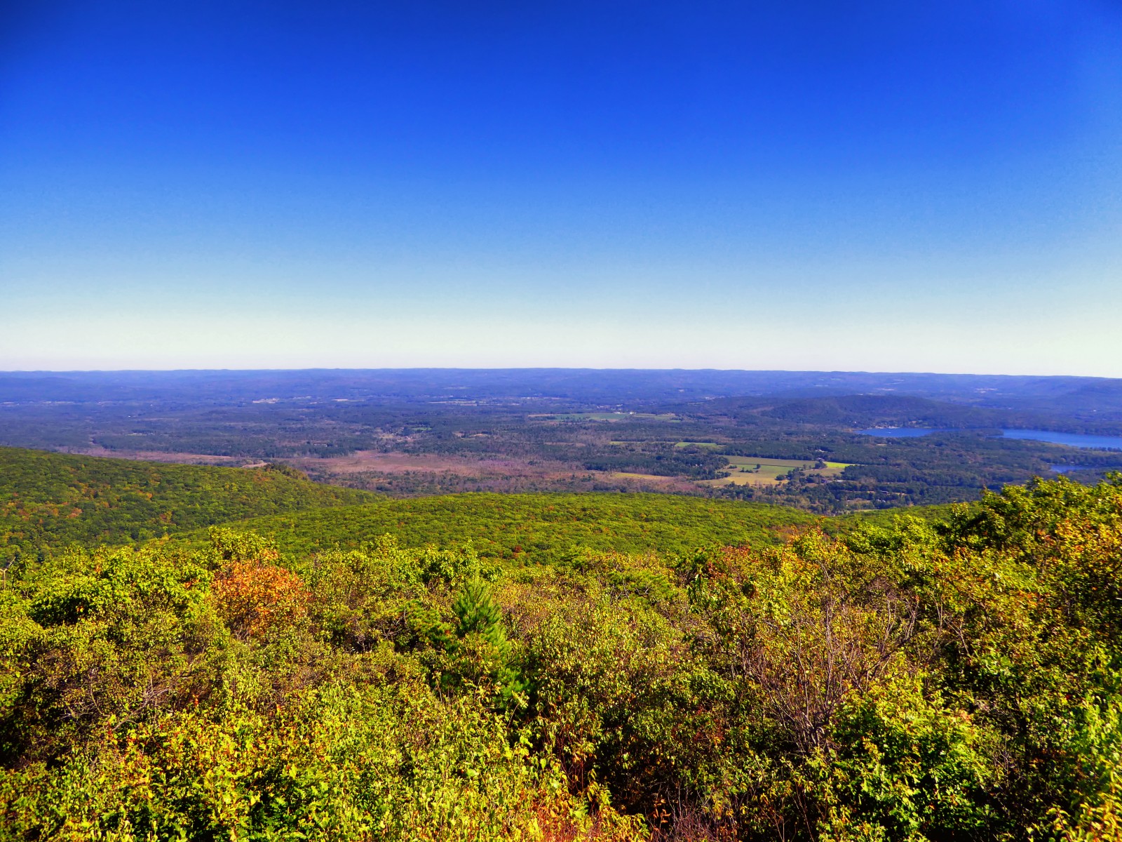 Bear Mountain (Connecticut) – Mountain Field Guide