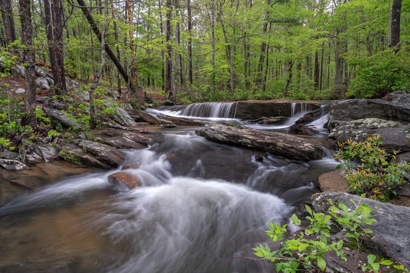 Hiking Trails in Cheaha State Park - Mountain Field Guide