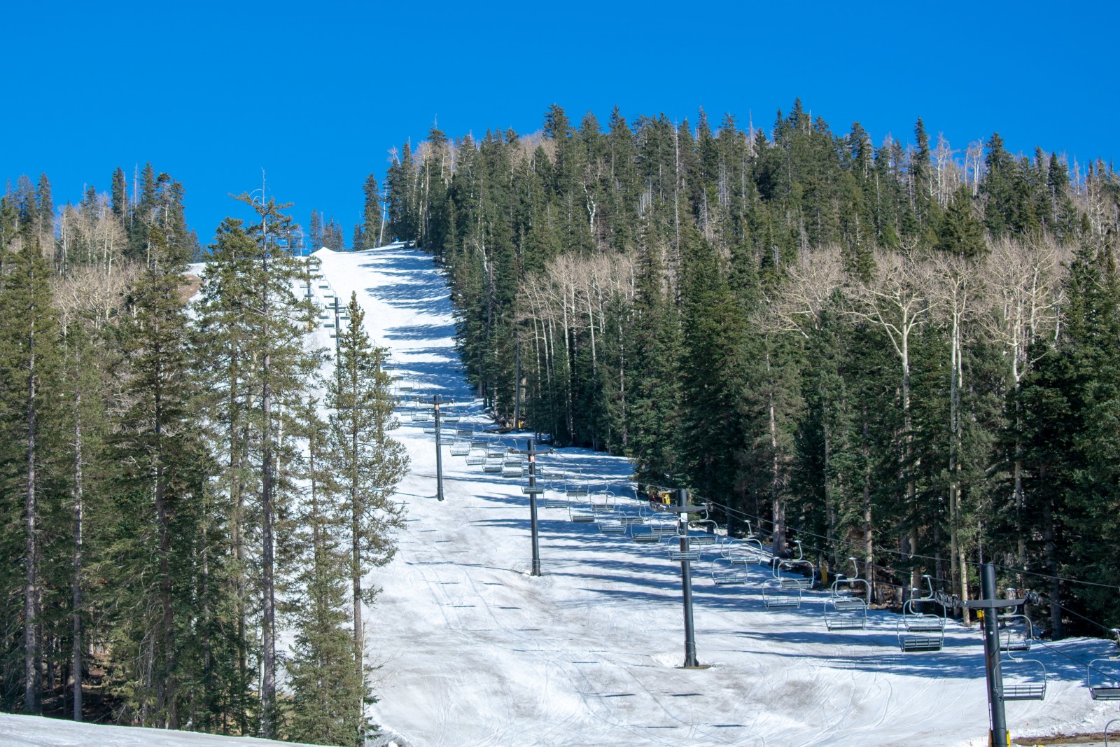 Skiing in the Desert? Discover the Hidden Gems of Flagstaff’s Ski Scene – Mountain Field Guide