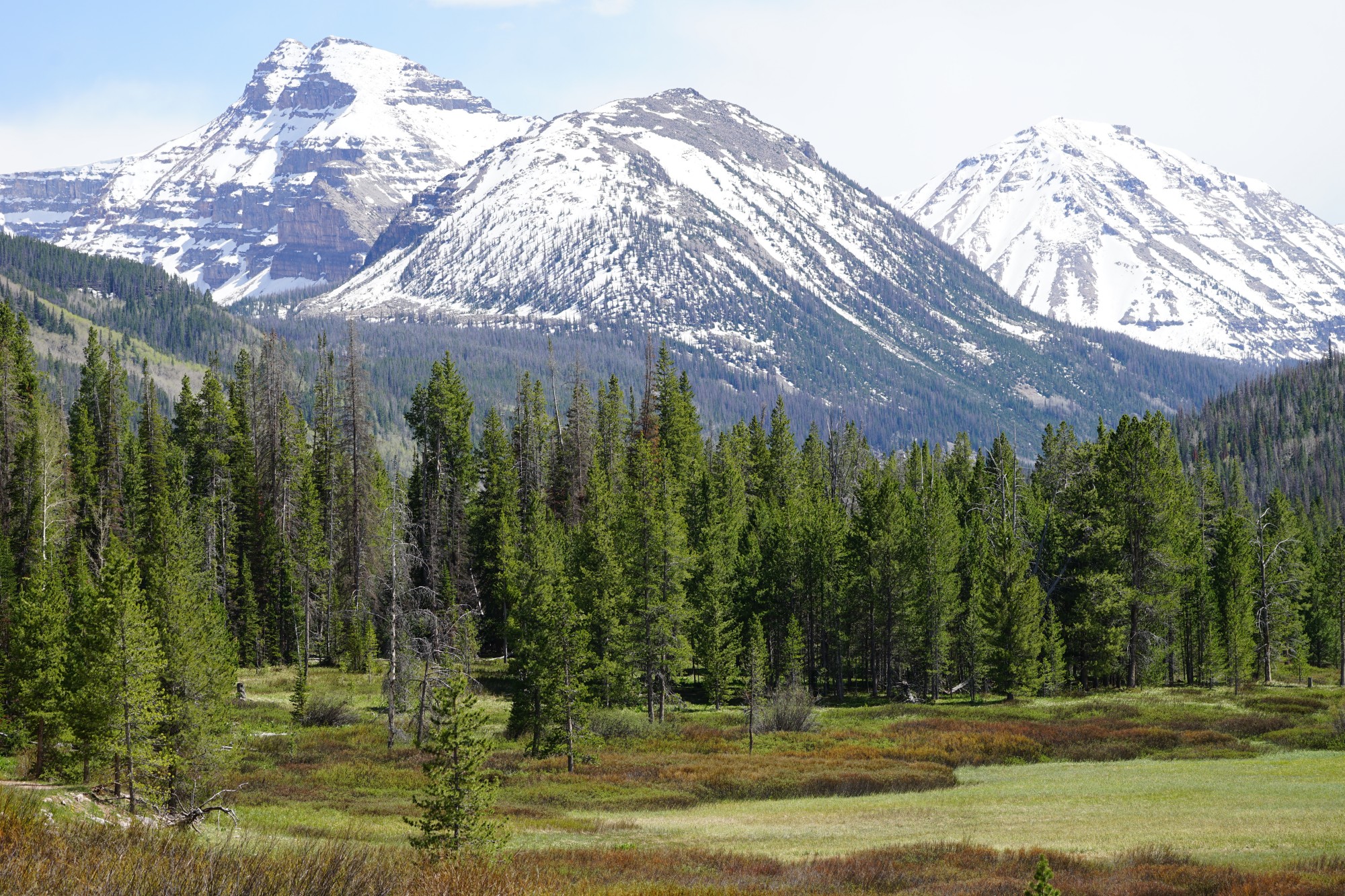 Why the Uinta Mountains Are a Must-Visit for Every Nature Enthusiast ...