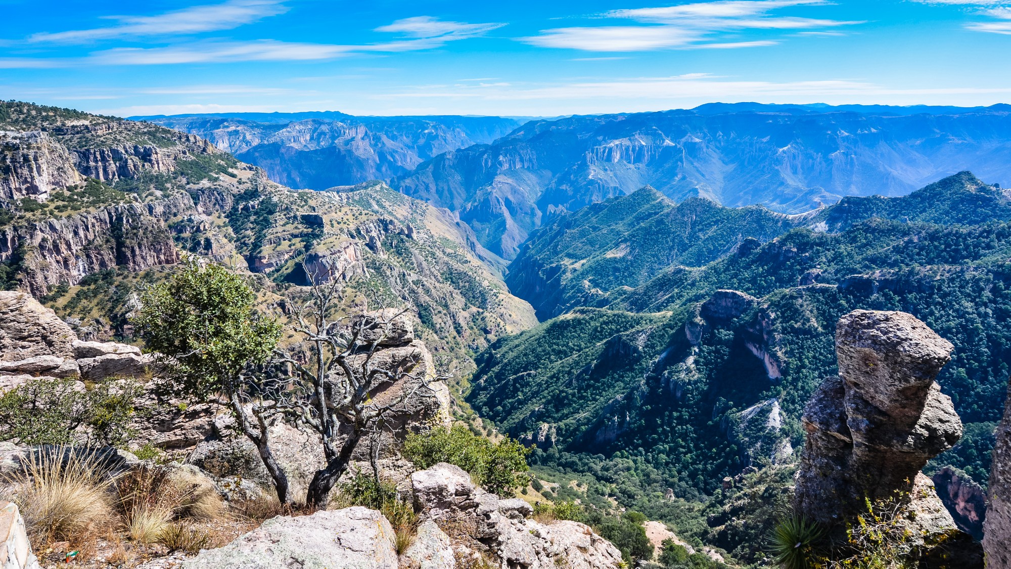 The Sierra Madre Occidental: Unveiling the Splendor of Mexico’s Natural 