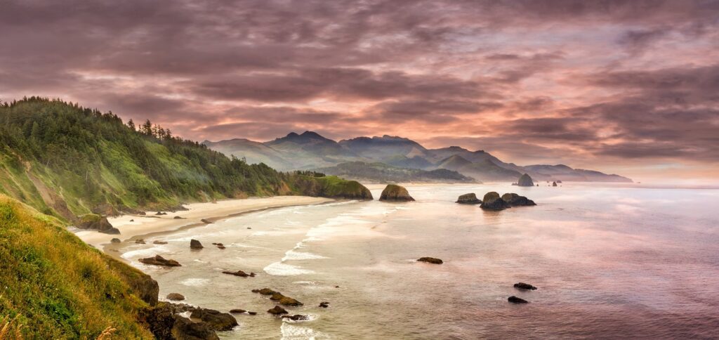 The Spectacular Diversity of the Pacific Coast Ranges - Mountain Field ...