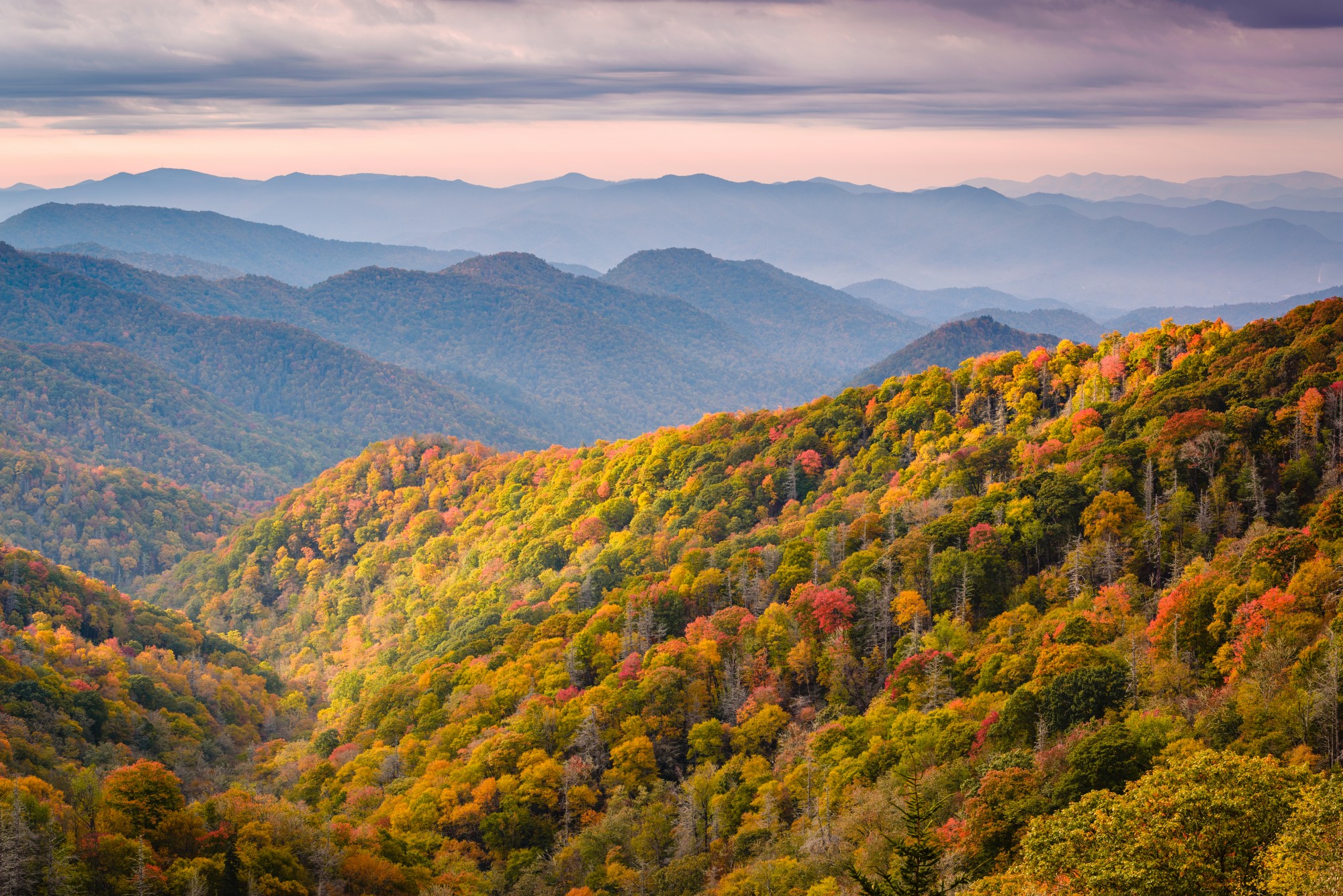 Exploring the Majestic Great Smoky Mountains: A Comprehensive Guide 