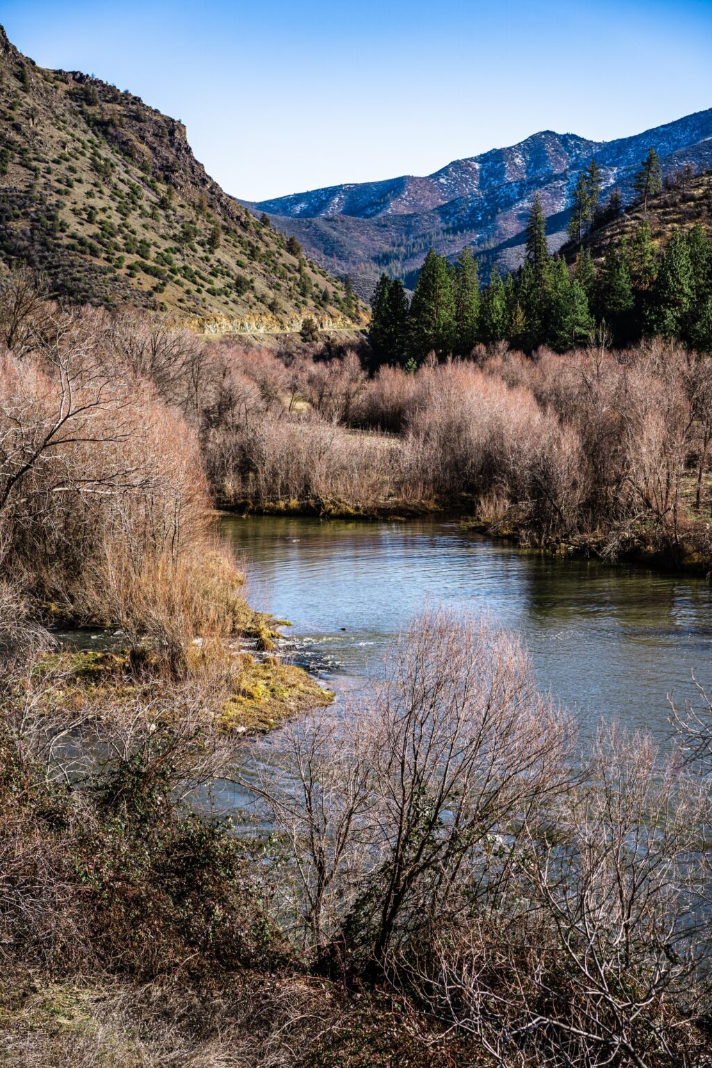 The Klamath Mountains: A Blend of Biodiversity and Scenic Beauty 