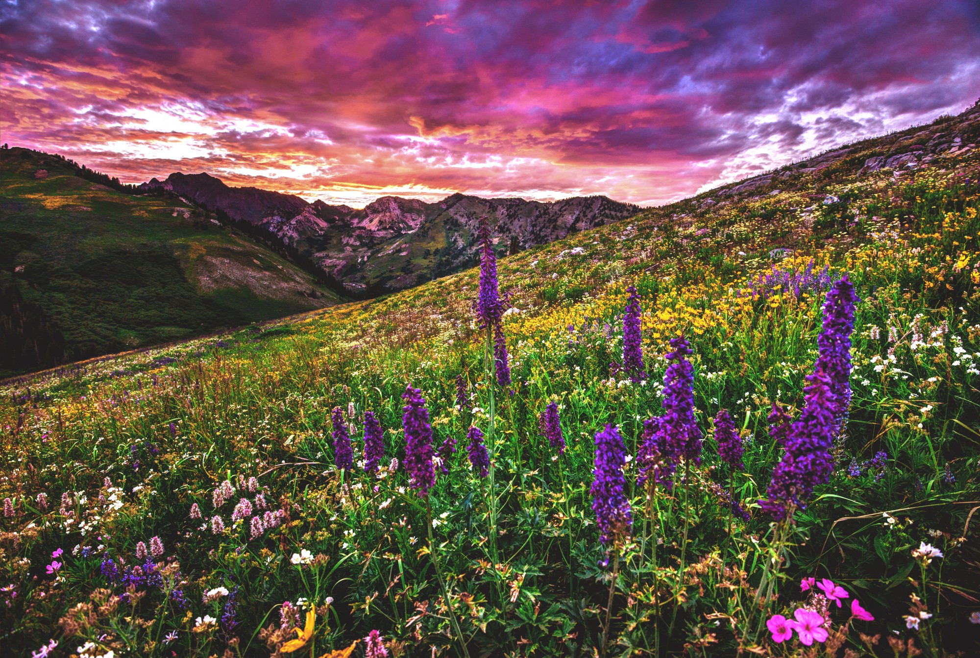 Wasatch Range: A Hidden Gem in the Heart of Utah’s Natural Wonders 