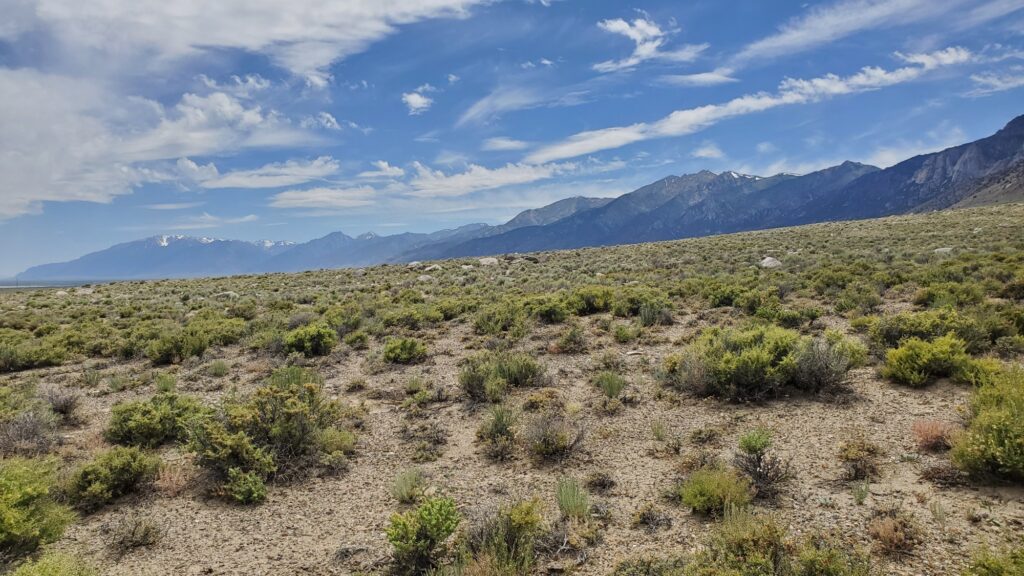 The Toiyabe Range Experience: Discovering Nevada’s Hidden Gem ...