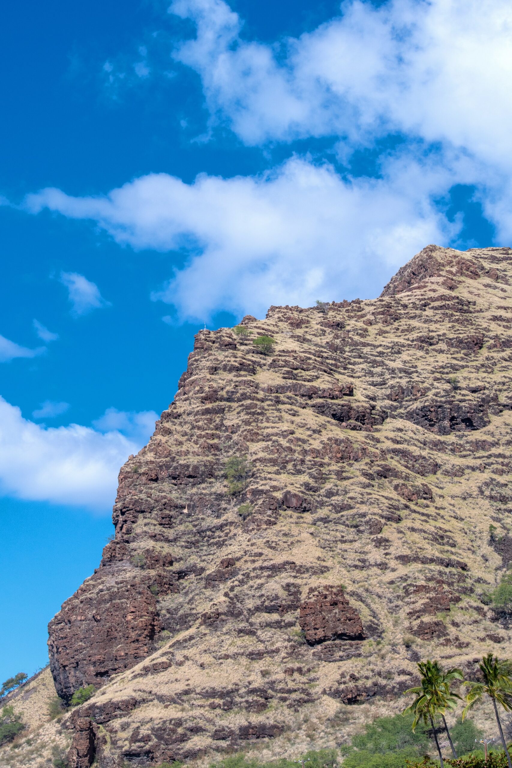 From Sea to Summit: Exploring the Natural Wonders of Oahu’s Highest ...