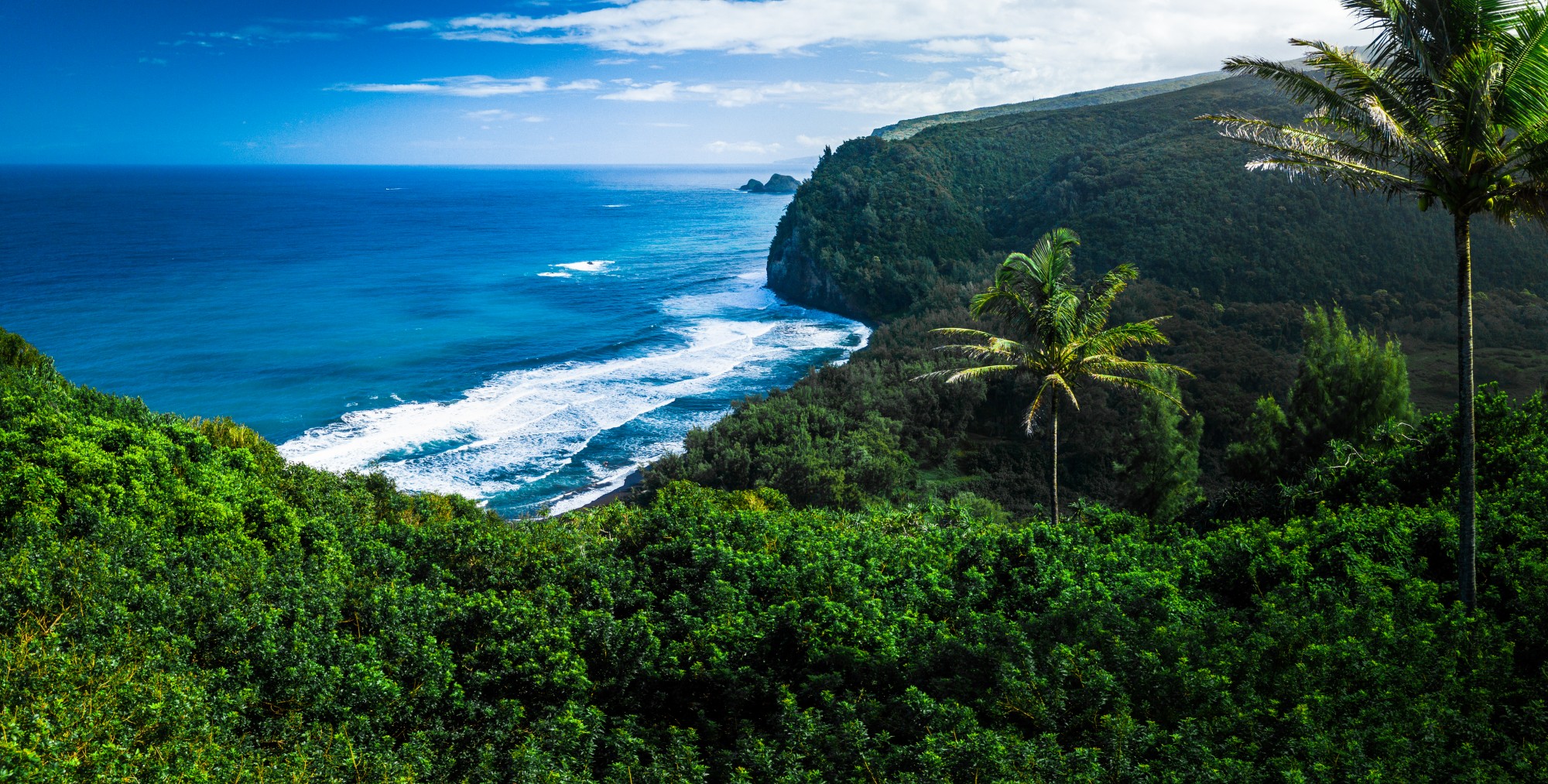 Puʻu Nana – Mountain Field Guide