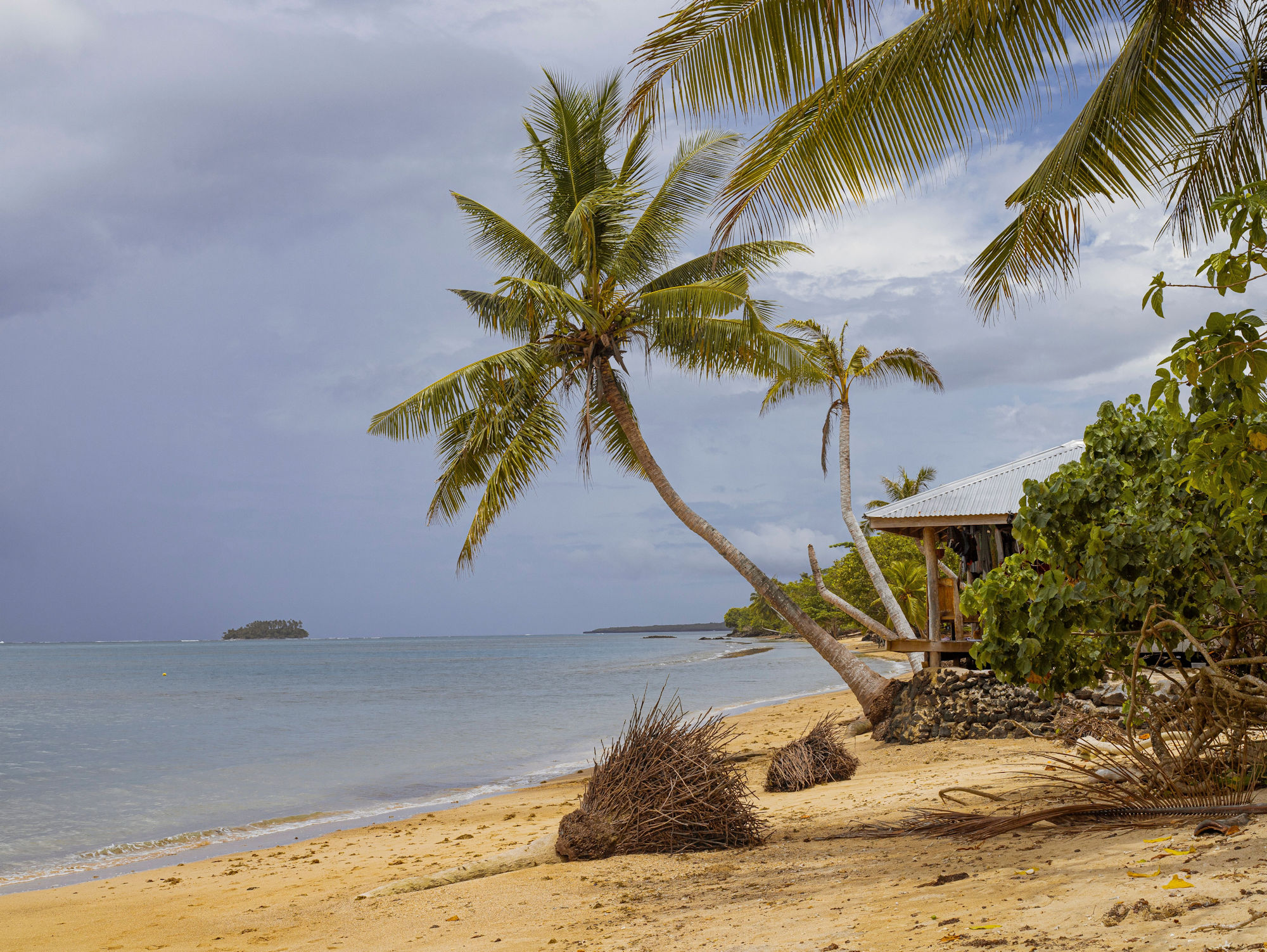 Api Samno Mountains in Samoa - Mountain Field Guide